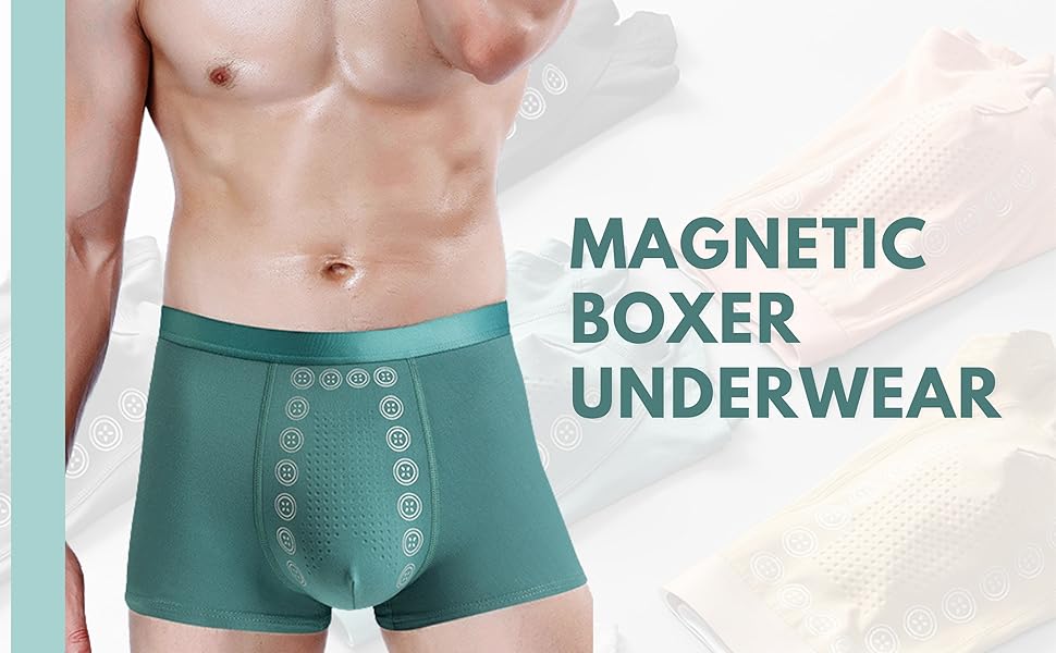 Men's Ice Silk Briefs Boxers (Pack of 5)