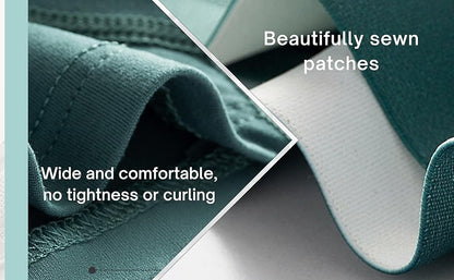 Men's Ice Silk Briefs Boxers (Pack of 5)